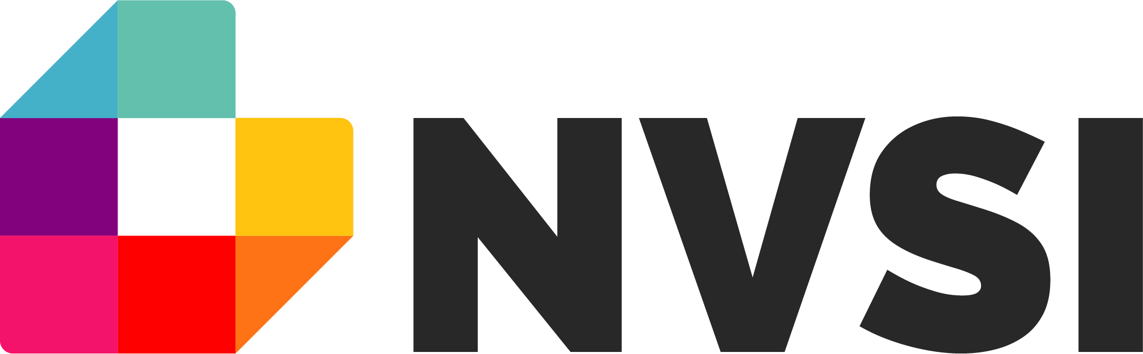 NVSI_Logo@3x