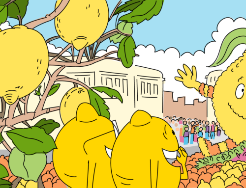 Een zomer vol heerlijke citroenen – Deel 2