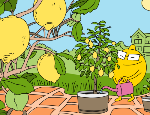 Een zomer vol heerlijke citroenen – Deel 3